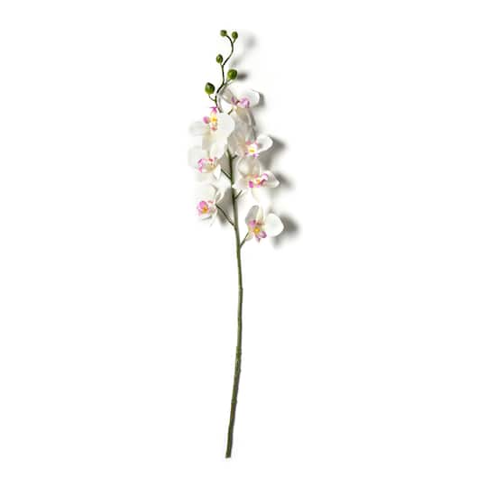 Orchid Spray by Ashland